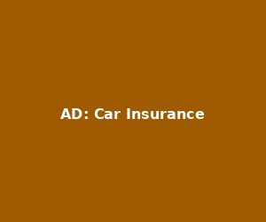 Demo: Car Insurance